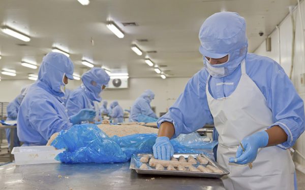 Đồng phục công nhân nhà máy